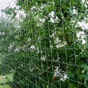 Siatka na okna i balkon dla kota wzmacniana drucikiem, montaż Warszawa, kolor oliwkowy.