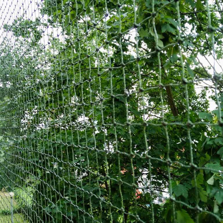 Siatka na okna i balkon dla kota wzmacniana drucikiem, montaż Warszawa, kolor oliwkowy.