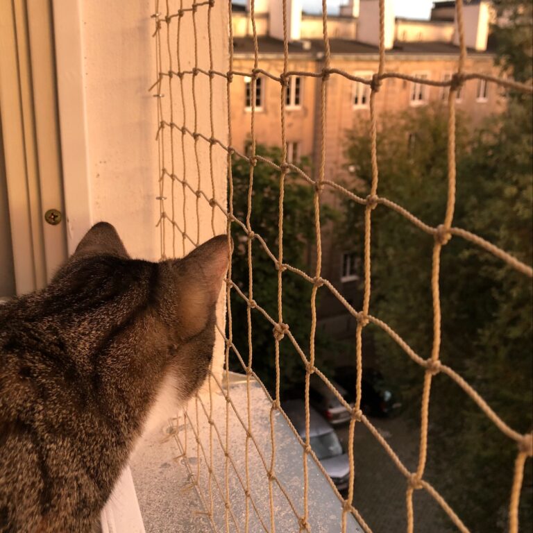 Siatka na okno dla kota Warszawa